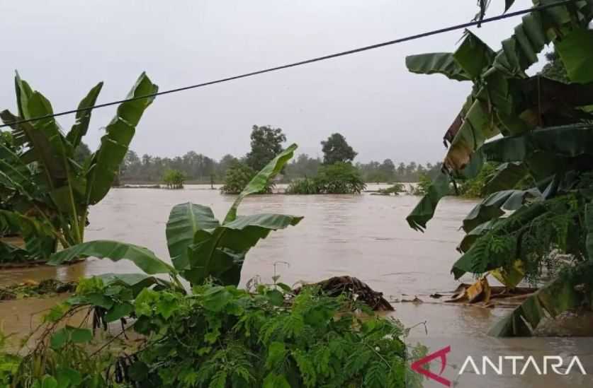 Banjir Disertai Longsor Tewaskan 14 Warga di Luwu, Sulsel