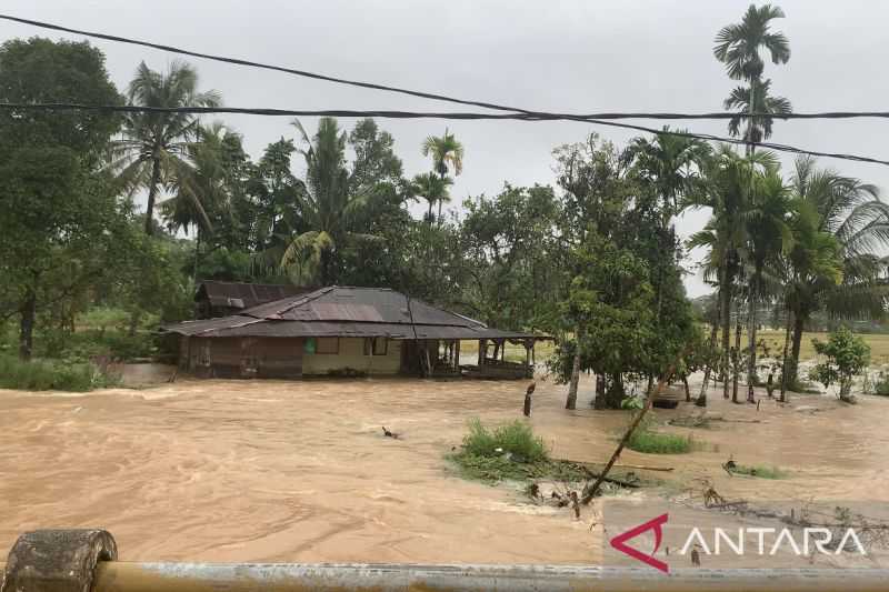 Banjir Merata di Kota Padang, BPBD Evakuasi Warga ke Tempat Aman