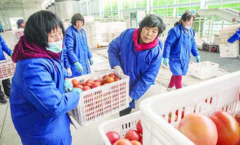 Bank Pembangunan Tiongkok Dukung Pengembangan Pertanian