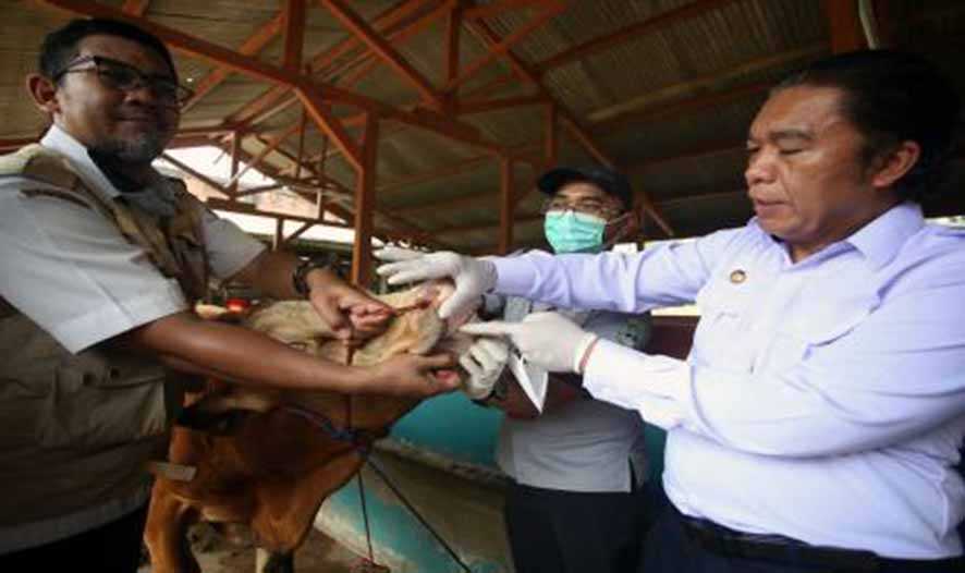 Banten Kerja Sama Cermati Lalu Lintas Hewan