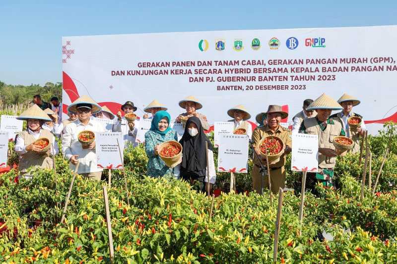 Banten Lakukan Gerakan Panen dan Tanam Cabai