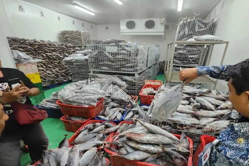 Bantu Nelayan, Gunungkidul Perjuangkan Penambahan Cold Storage di Pantai Sadeng