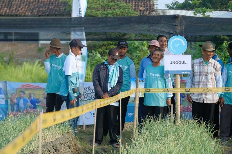 Bantu Petani Bawang Merah, Syngenta Luncurkan Simodis