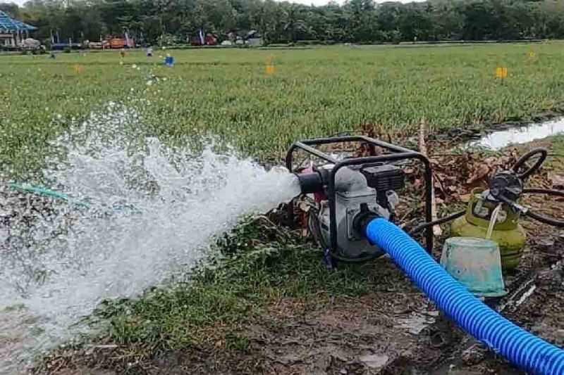 Bantu Petani Kesulitan Air, Kementan Buka Nomor 'Hotline' Pengaduan