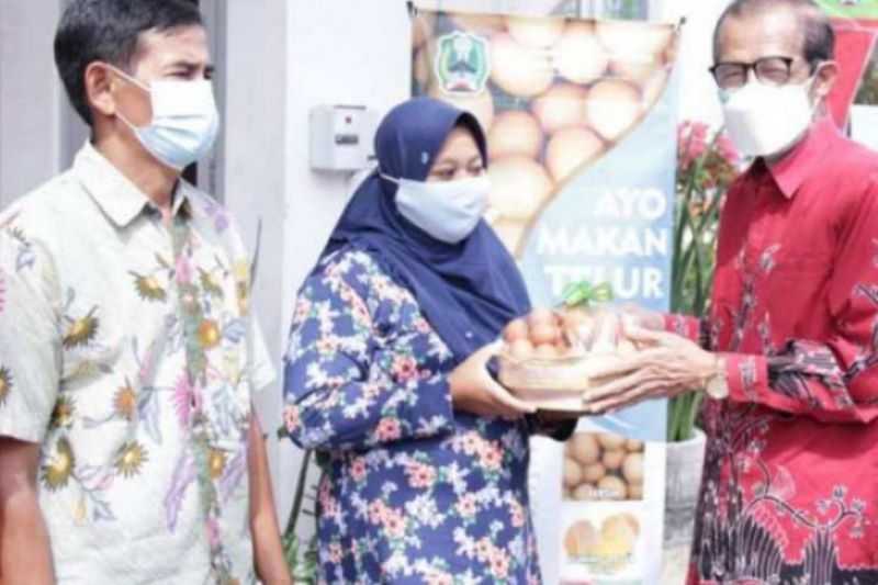 Bantu Peternak, Gerakan Gemar Makan Telur Ayam Diluncurkan