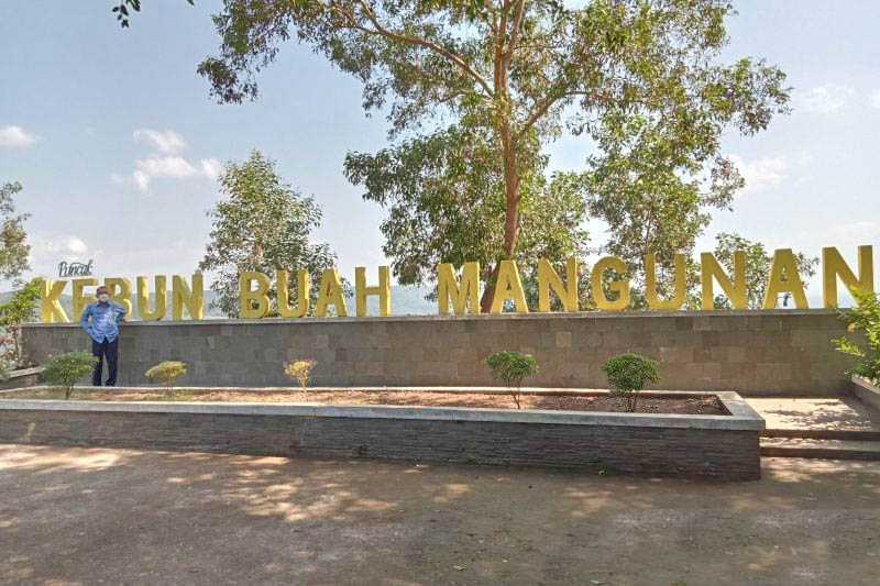 Bantul Tambah Spot Foto di Kebun Mangunan Tingkatkan Daya Tarik Wisata