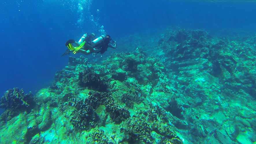 Banua Wuhu, Gunung Bawah Laut Langka  di Perairan Sangihe