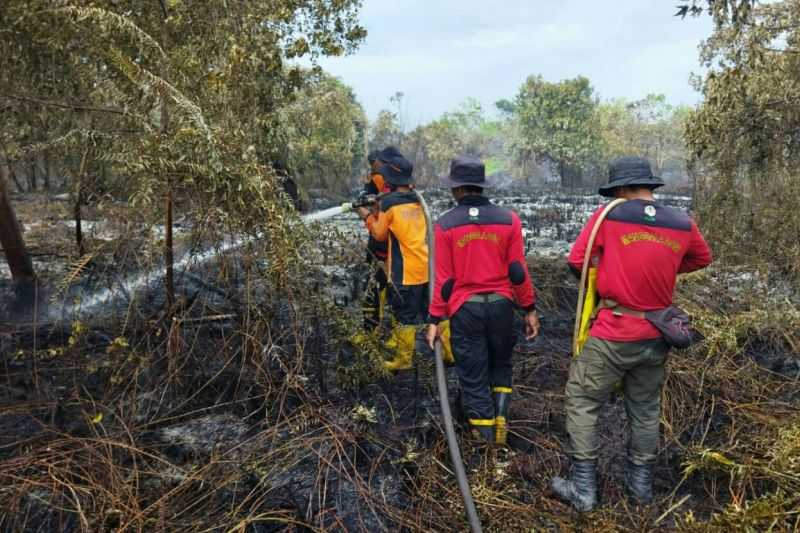 Banyak Sekali, BMKG Deteksi 156 Titik Panas di Kaltim