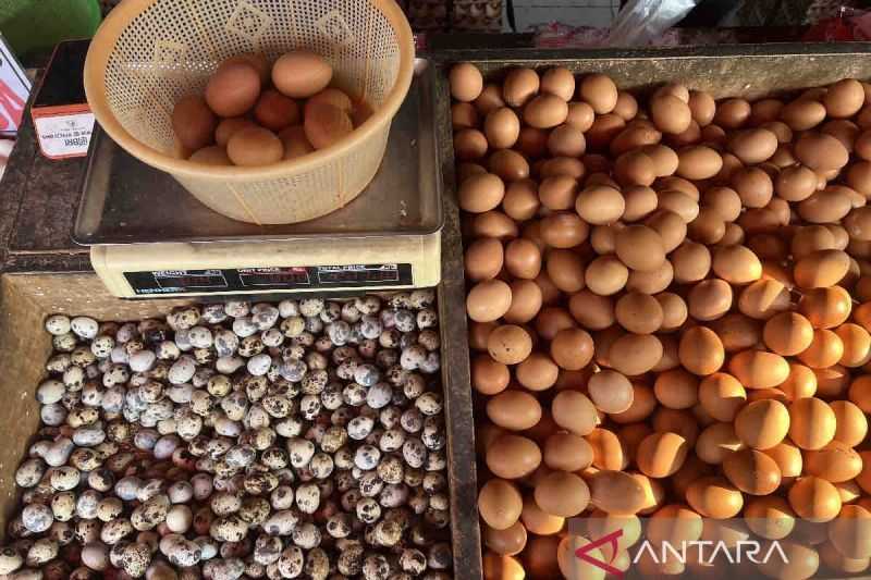 Bapanas Catat Harga Pangan di Akhir Pekan Turun, Telur Rp28.100 per kg