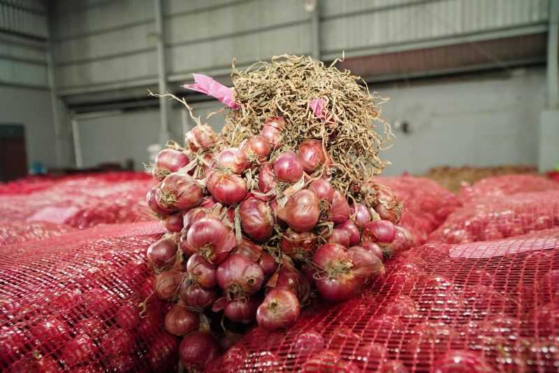 Bapanas: Harga Bawang Merah Bertahan di Level Rp26.620 per Kg