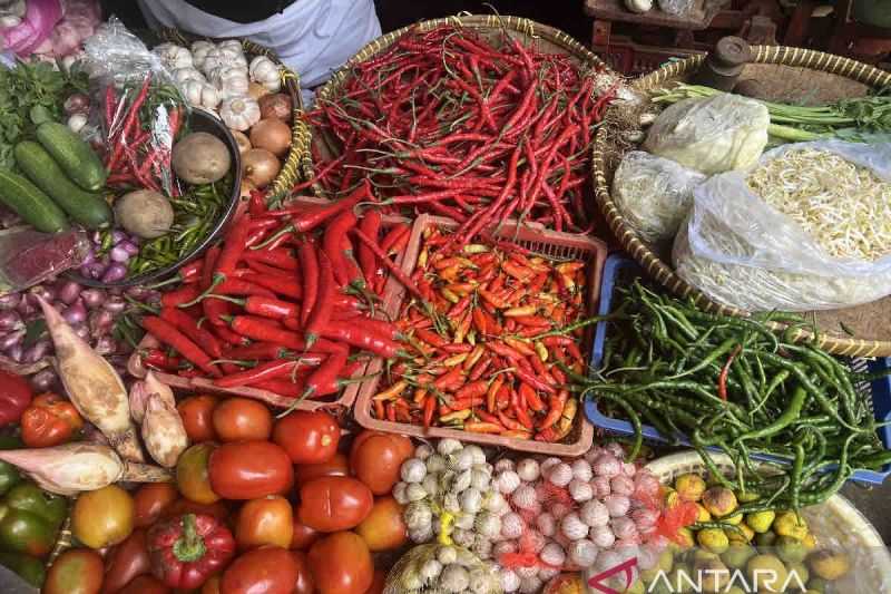 Bapanas: Harga Pangan Fluktuatif, Cabai Rawit Turun, Beras Premium Naik