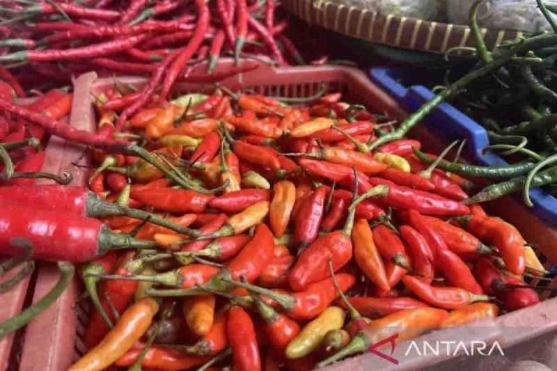 Bapanas: Harga Pangan Hari Ini Mayoritas Naik, Cabai Rawit Rp49.800 per Kg