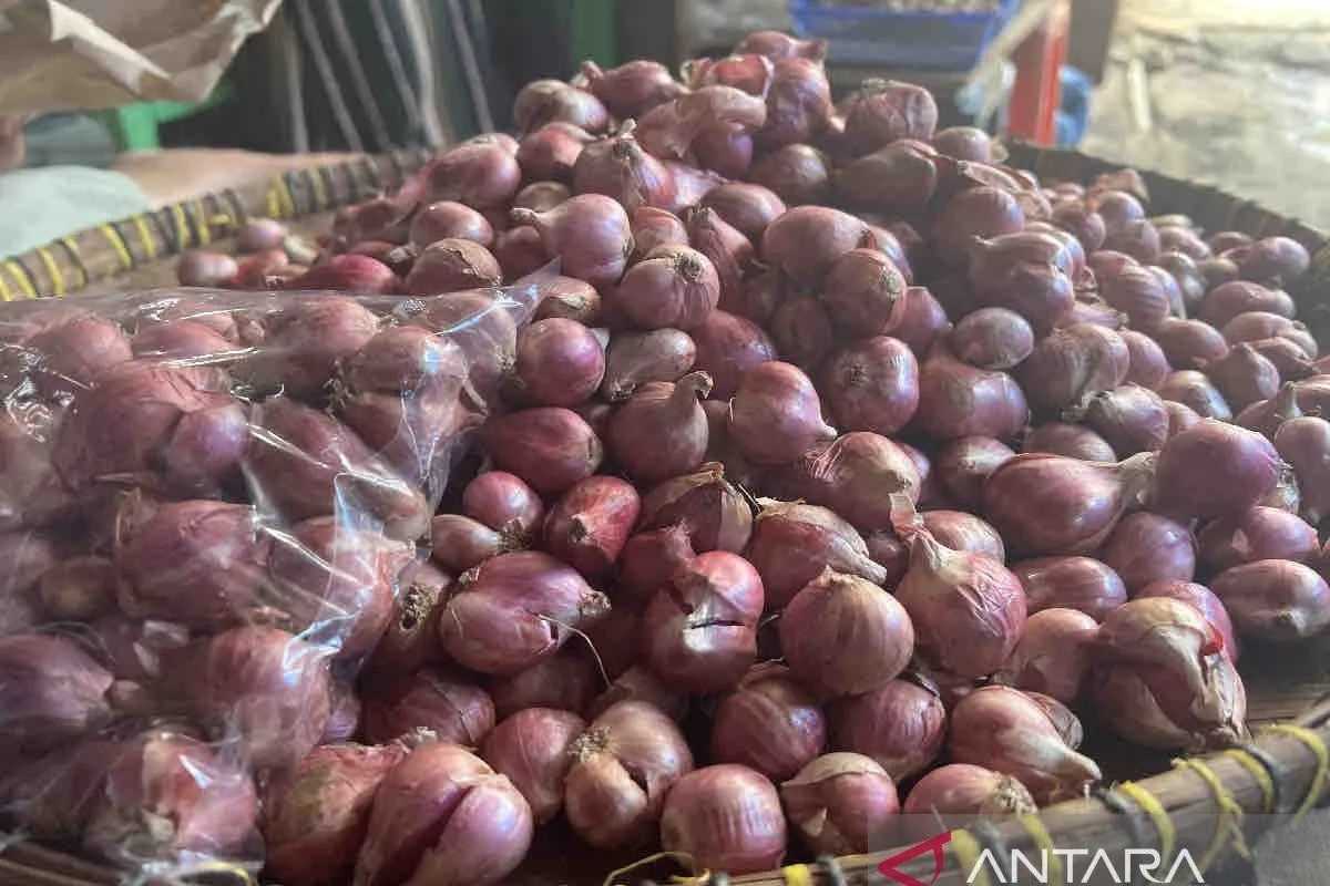 Bapanas: Harga Pangan Masih Fluktuatif, Bawang Merah Naik Jadi Rp30.620 per Kg