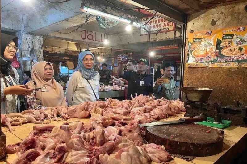 Bapanas: Harga Pangan Mayoritas Turun, Daging Ayam Ras Rp35.610 per Kg