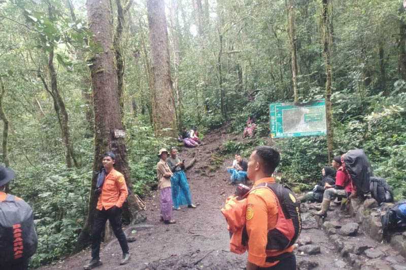 Basarnas Jambi Bantu Evakuasi Pendaki Gunung Kerinci yang Alami Cidera