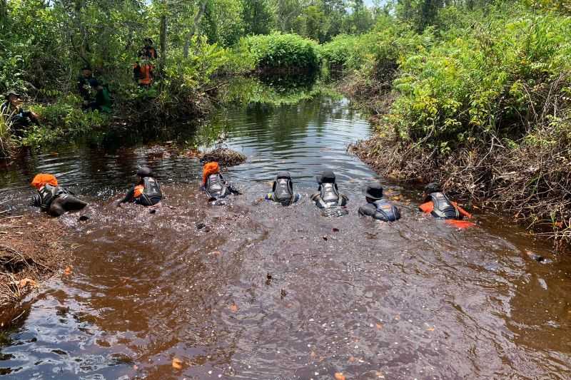 Basarnas Palangka Raya Perpanjang Pencarian Mahasiswa Hilang di Hutan Kabupaten Kapuas