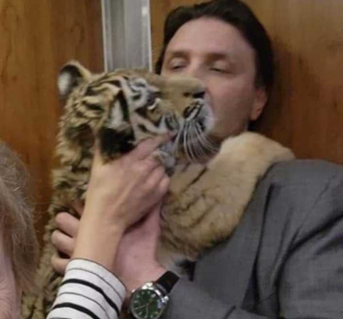 Bayi Harimau yang Diambil Rusia dari Kebun Binatang Ukraina Meninggal di Sirkus Moskow