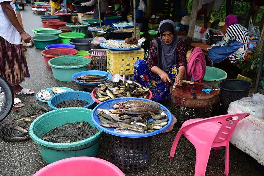 Benarkah Ada Perbudakan Era Modern di Industri Makanan Laut Thailand?