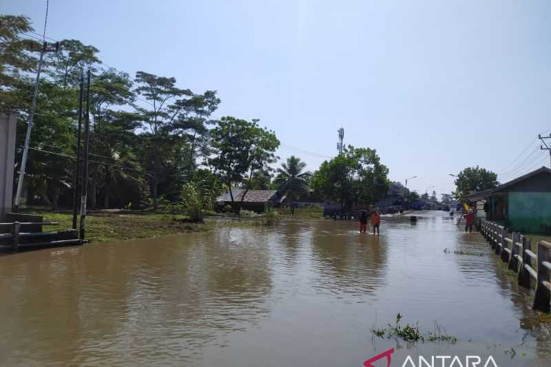 Bengkulu Banjir, BNPB: 4.550 Rumah Warga dan Fasilitas Umum di Empat Wilayah Terendam