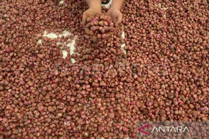 Beras dan bawang merah penyumbang tertinggi inflasi Aceh pada April