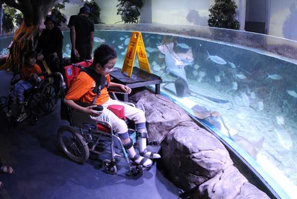 Berbagi Ajak Anak-Anak Rumah Harapan Indonesia Berwisata Dan Bermain Di Jakarta Aquarium 1