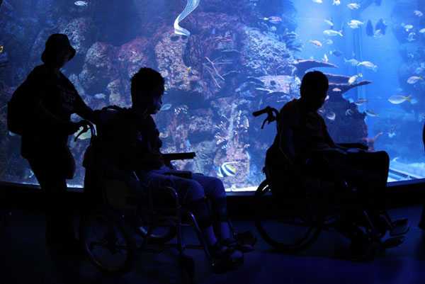 Berbagi Ajak Anak-Anak Rumah Harapan Indonesia Berwisata Dan Bermain Di Jakarta Aquarium 2