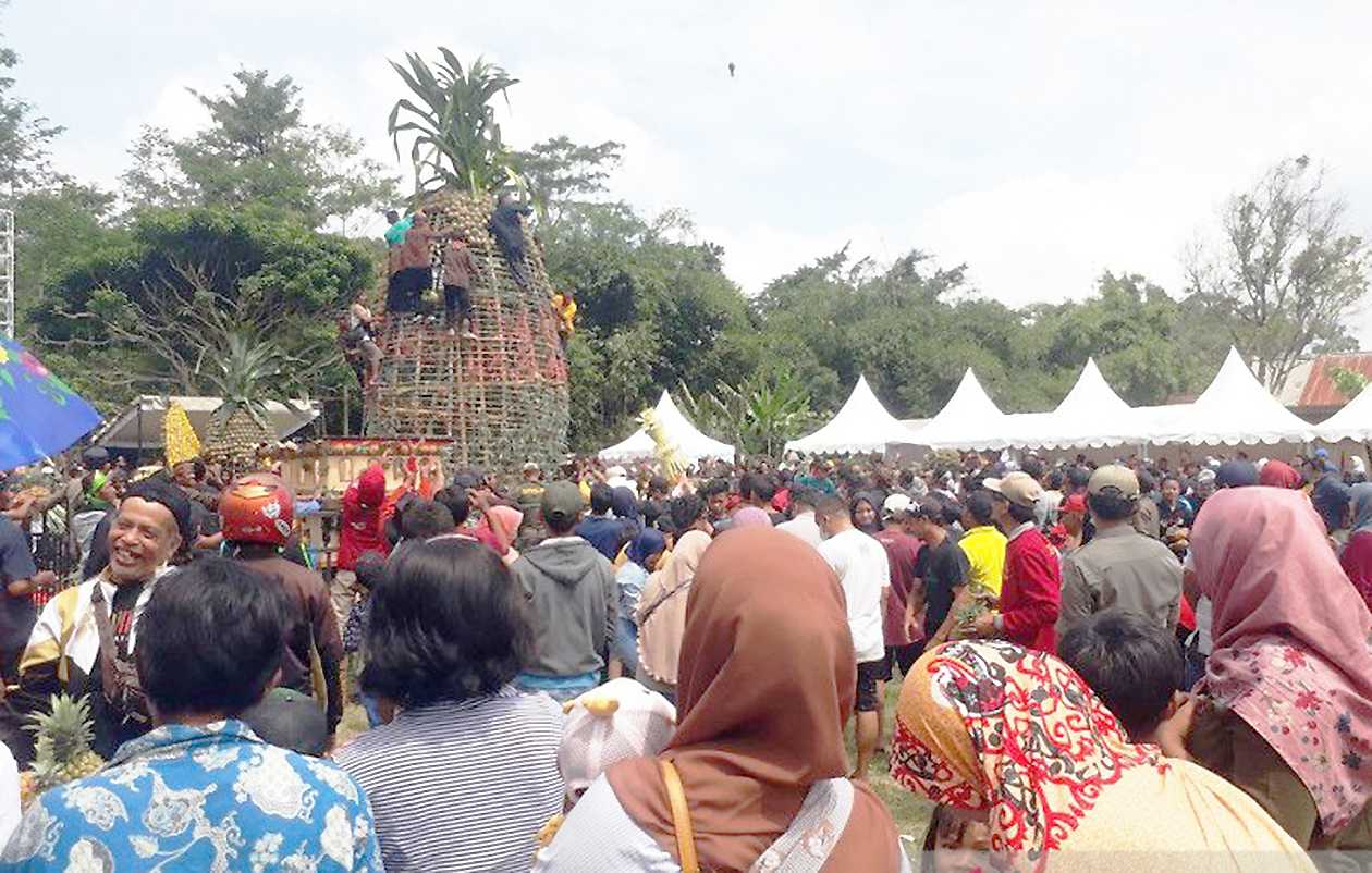 Berebut nanas Gratis dalam Festival di Kediri