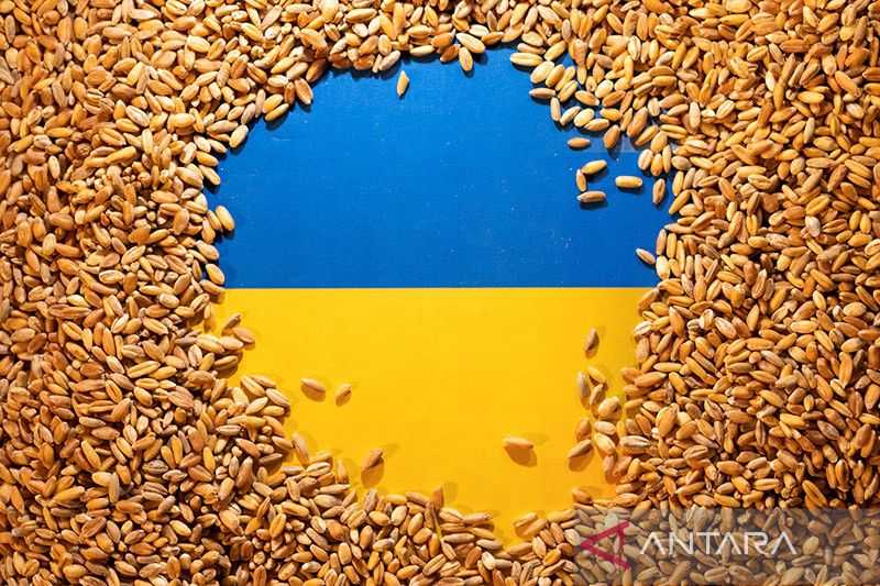 Berita Gembira di Tengah Ancaman Kelaparan Global, Dua Kapal Kirim 63.000 Ton Biji-bijian dari Ukraina