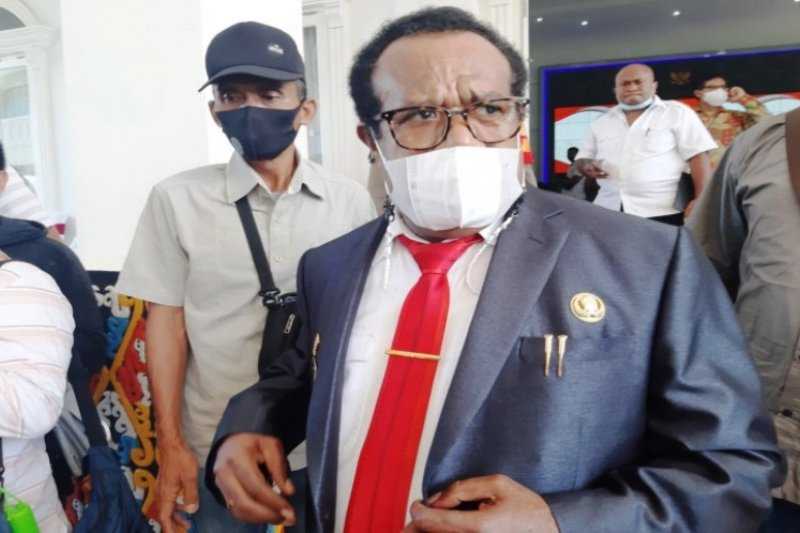 Berita Gembira, Pembentukan DOB Provinsi Papua Selatan Diusulkan Dipercepat