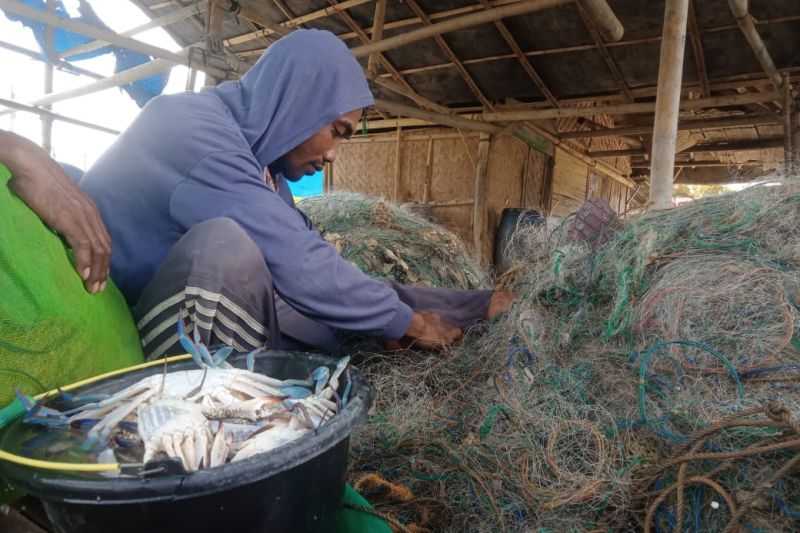 Berkah Buat Nelayan, Harga Rajungan di Lampung Timur Naik Jadi Rp100 Ribu per Kg
