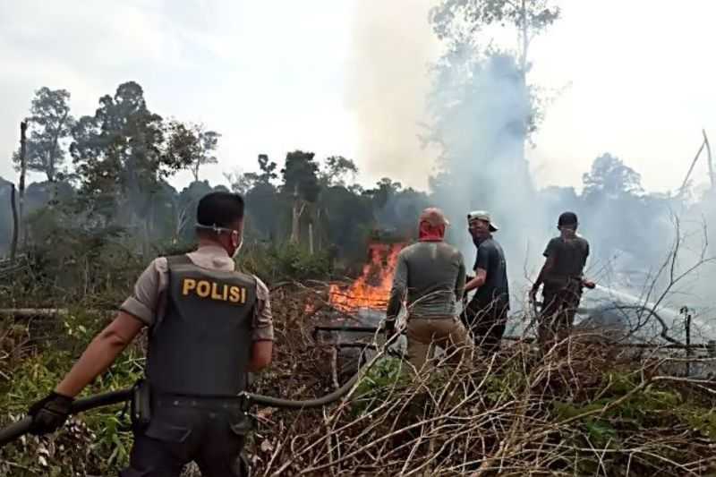 Bikin Susah Semua Orang, Enam Dalang Pembakaran Hutan dan Lahan di Riau Diringkus Polisi
