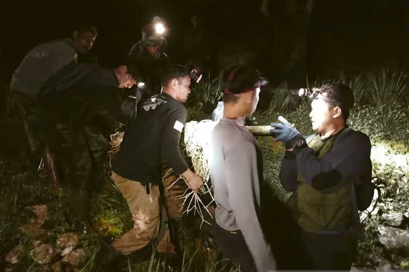 BKSDA: Harimau Sumatra di Agam Mati Akibat Trakea Pecah Fraktur