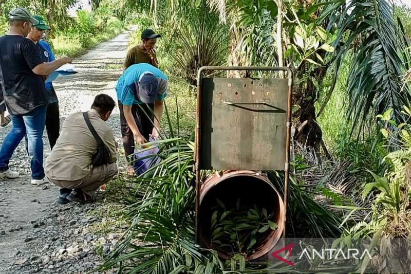 BKSDA Kalimantan Selatan Pantau Beruang Madu Muncul Tiga Kali di Desa Kuripan