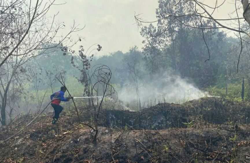 BMKG: 462 Titik Panas Terpantau di Kalimantan Timur