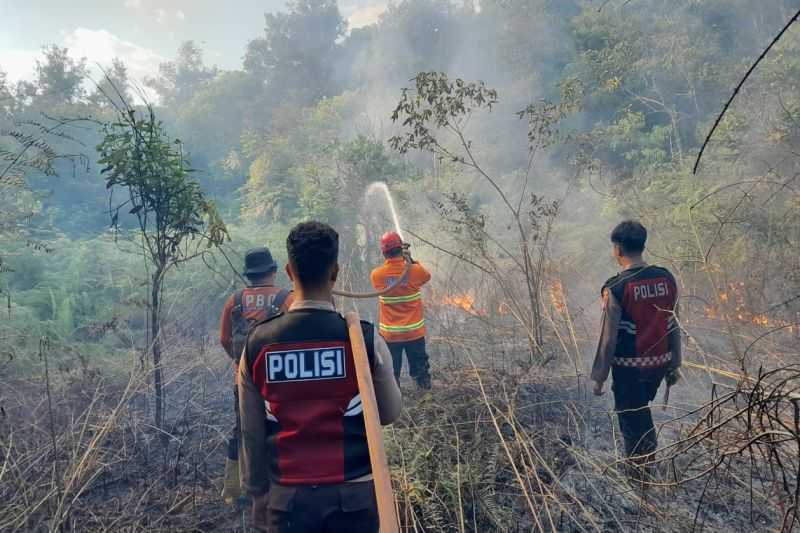 BMKG Ajak Masyarakat Waspada Karhutla Seiring Banyaknya Titik Panas