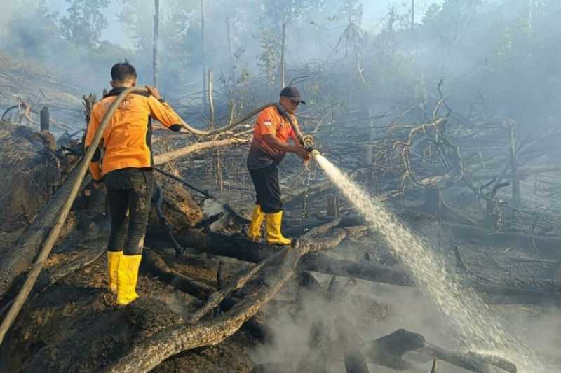 BMKG Deteksi 154 Titik Panas di Kalimantan Timur, Warga Diminta Hati-hati