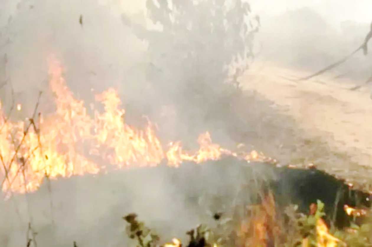 BMKG Ingatkan Warga NTT Waspada Dampak Angin Kencang