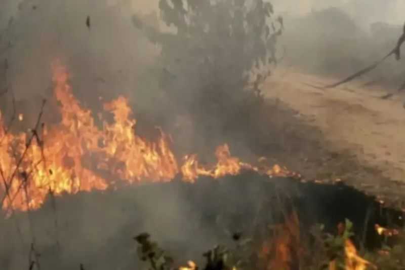 BMKG ingatkan warga NTT waspada dampak angin kencang hingga 20 Agustus