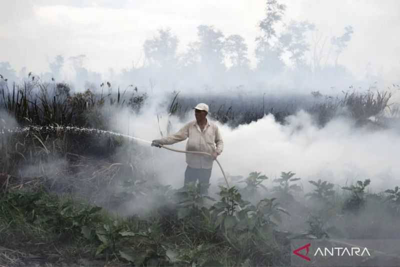 BMKG Jaga 2,8 Juta Hektare Lahan Gambut dari Ancaman Kebakaran di Kalbar