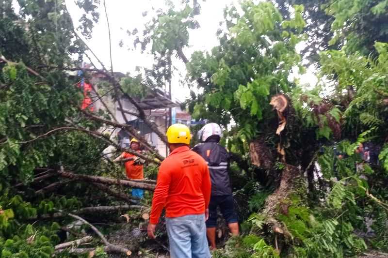 BMKG Minta Warga Banten Waspadai Hujan Lebat Disertai Angin Kencang