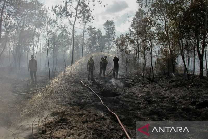 BNPB Pastikan Operasi Karhutla di Enam Provinsi Berlaku Aktif Sampai November