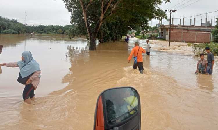 BNPB Ungkap 2 Ribu Warga Aceh Timur Mengungsi Akibat Banjir