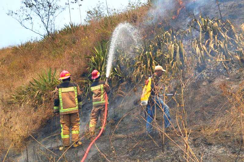 Bolos Sekolah, Sekelompok anak SMP Sebabkan Kebakaran Hutan Gunung Guntur