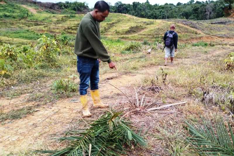 BPBD Aceh Barat Kerahkan Angggota Tim Gugus Penyelamatan Satwa Liar untuk Cegah Gangguan Gajah