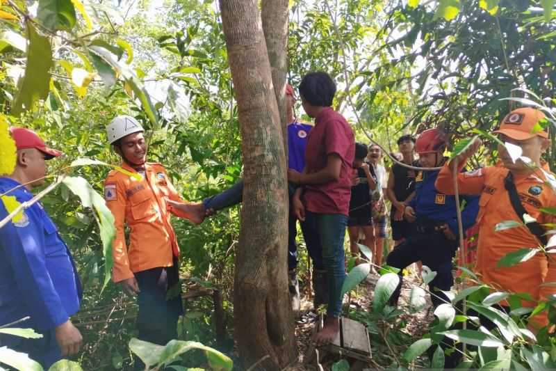 BPBD Belitung Evakuasi Anak yang Kakinya Terjepit di Pohon