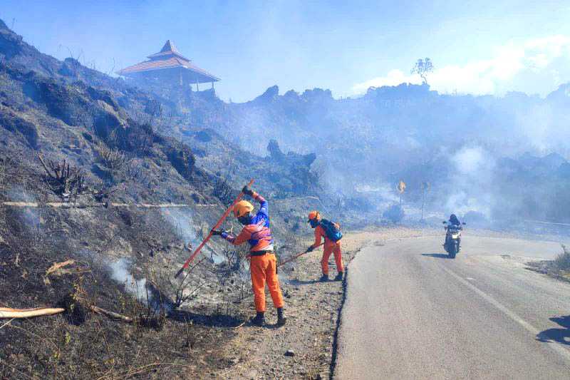 BPBD Bondowoso Catat Karhutla Capai 20 Hektare di Lereng Gunung Ijen
