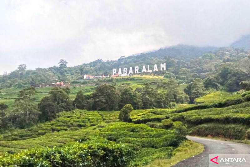 BPBD Imbau Pendaki tak Dekati Kawah Gunung Dempo