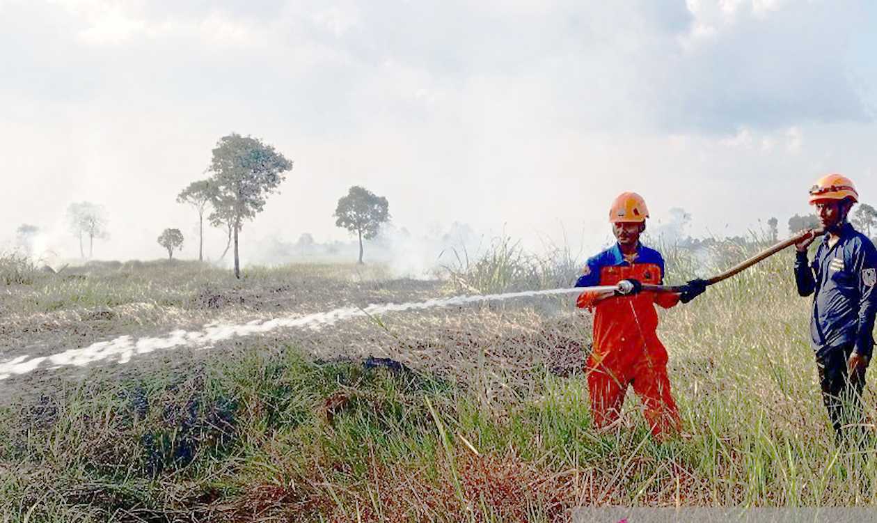 BPBD Kalsel Tangani Karhutla Lahan Gambut di Banjarbaru