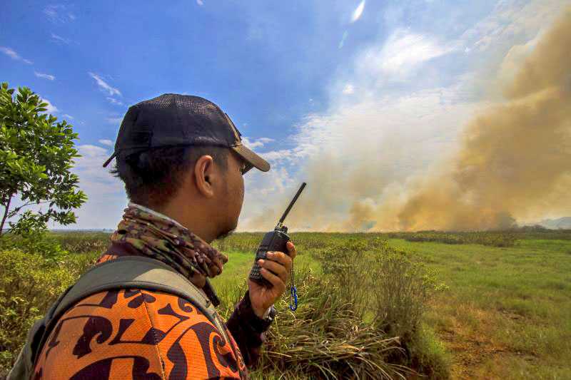 BPBD Kalsel Tanggulangi Karhutla yang Melanda 10 Hektare Area Bandara