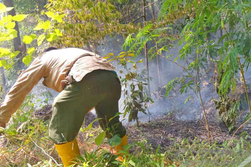 BPBD Kuningan: Kebakaran Hutan di Gunung Ciremai Sudah Padam